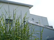 Doppelhaus